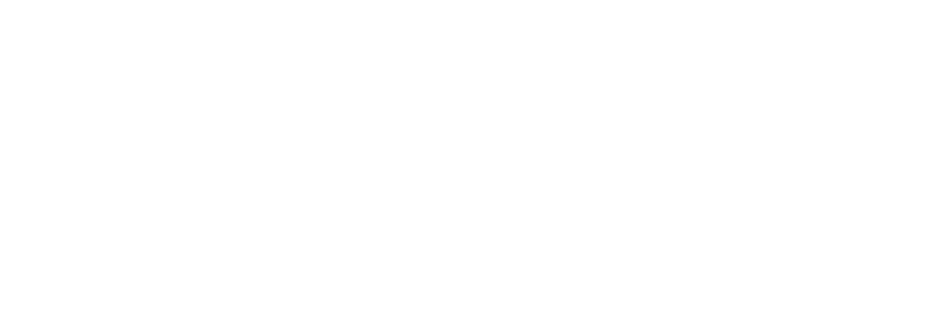 Coronic Software & Security