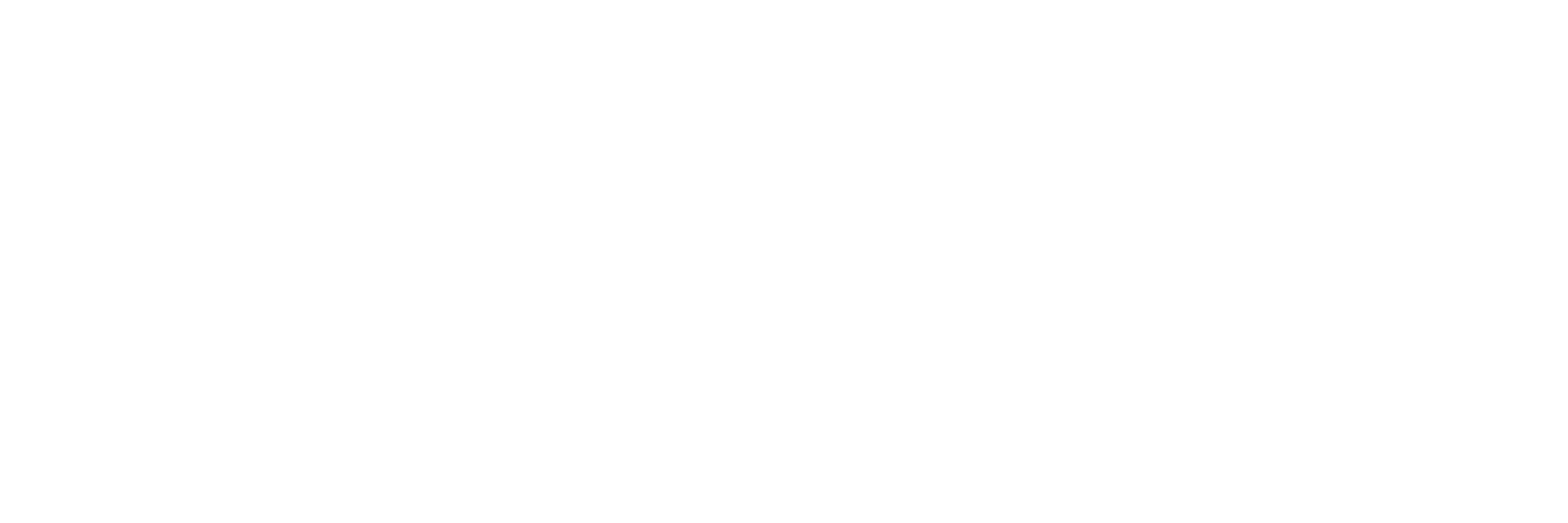 Coronic Software & Security